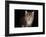 Kitten with blue eyes looking at camera, on black-Sue Demetriou-Framed Photographic Print