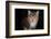 Kitten with blue eyes looking at camera, on black-Sue Demetriou-Framed Photographic Print