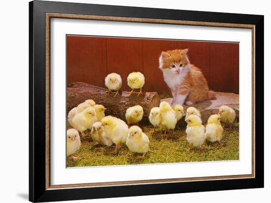 Kitten with Chicks--Framed Art Print