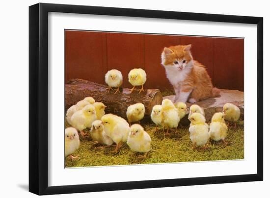 Kitten with Chicks-null-Framed Art Print