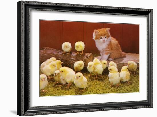 Kitten with Chicks-null-Framed Art Print