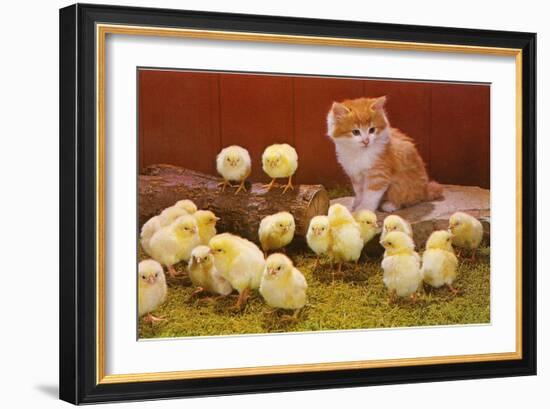 Kitten with Chicks-null-Framed Art Print