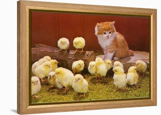Kitten with Chicks-null-Framed Stretched Canvas