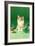 Kitten with Christmas Bulbs, Retro-null-Framed Art Print