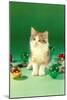 Kitten with Christmas Bulbs, Retro-null-Mounted Art Print