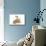 Kittens 002-Andrea Mascitti-Mounted Photographic Print displayed on a wall