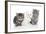 Kittens 006-Andrea Mascitti-Framed Photographic Print