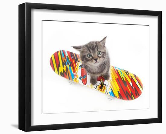 Kittens 011-Andrea Mascitti-Framed Photographic Print