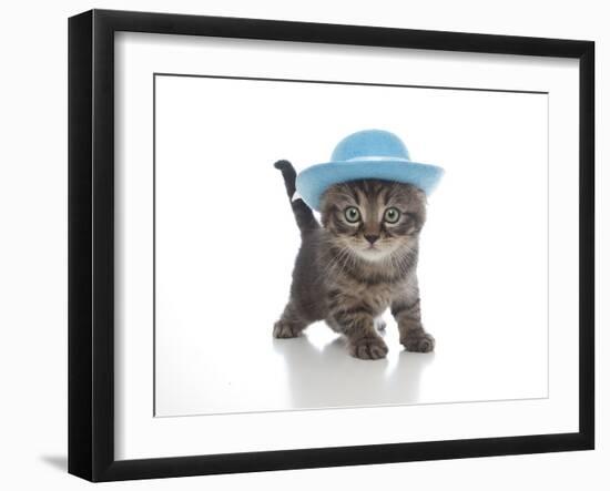 Kittens 012-Andrea Mascitti-Framed Photographic Print