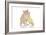 Kittens 018-Andrea Mascitti-Framed Photographic Print