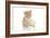 Kittens 025-Andrea Mascitti-Framed Photographic Print