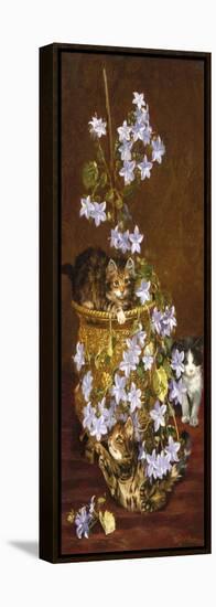 Kittens and Flowers, c.1903-Wilson Hepple-Framed Premier Image Canvas