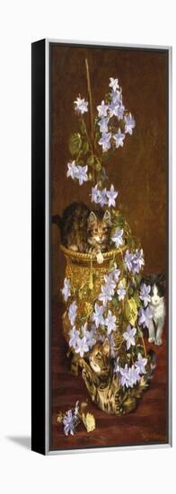 Kittens and Flowers, c.1903-Wilson Hepple-Framed Premier Image Canvas