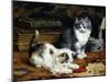 Kittens at Play-Charles Van Den Eycken-Mounted Giclee Print