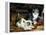 Kittens at Play-Charles Van Den Eycken-Framed Premier Image Canvas