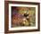 Kittens at Play-Leon-charles Huber-Framed Giclee Print