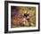 Kittens at Play-Leon-charles Huber-Framed Giclee Print