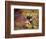 Kittens at Play-Leon-charles Huber-Framed Giclee Print