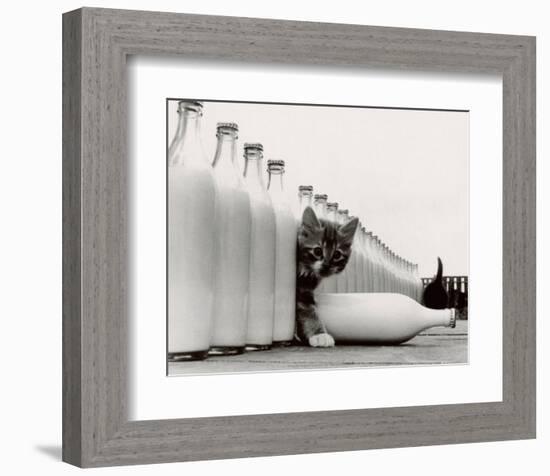 Kittens in Paradise-null-Framed Art Print