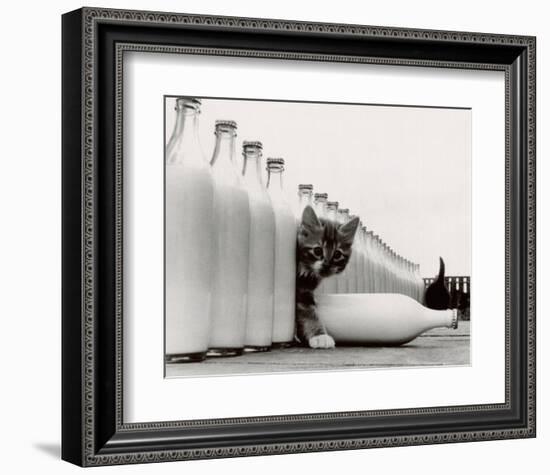 Kittens in Paradise-null-Framed Art Print