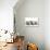 Kittens Line-Up-null-Premium Photographic Print displayed on a wall