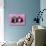 Kittens on Pink Towel-null-Photographic Print displayed on a wall