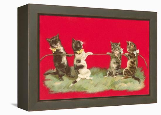 Kittens Playing Tug of War-null-Framed Stretched Canvas