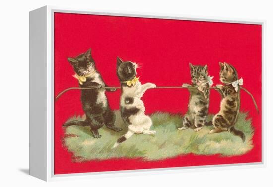 Kittens Playing Tug of War-null-Framed Stretched Canvas