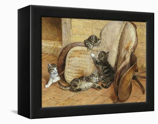 Kittens Playing-Frank Paton-Framed Premier Image Canvas