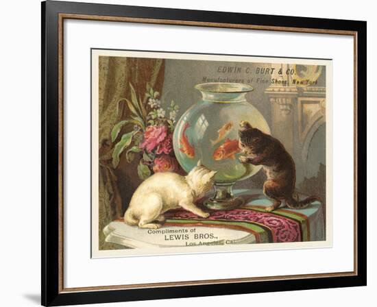 Kittens Watching Fish in Bowl-null-Framed Art Print