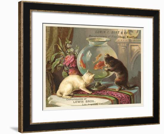 Kittens Watching Fish in Bowl-null-Framed Art Print