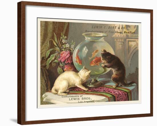 Kittens Watching Fish in Bowl-null-Framed Art Print