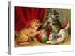 Stretched Canvas Print