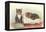 Kittens with Crib-null-Framed Stretched Canvas