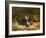 Kittens-Horatio Henry Couldery-Framed Giclee Print