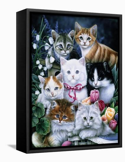 Kittens-Jenny Newland-Framed Premier Image Canvas