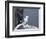 Kittiwake, Pembrokeshire, Wales, United Kingdom-Roy Rainford-Framed Photographic Print