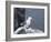 Kittiwake, Pembrokeshire, Wales, United Kingdom-Roy Rainford-Framed Photographic Print