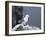 Kittiwake, Pembrokeshire, Wales, United Kingdom-Roy Rainford-Framed Photographic Print