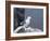 Kittiwake, Pembrokeshire, Wales, United Kingdom-Roy Rainford-Framed Photographic Print