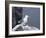 Kittiwake, Pembrokeshire, Wales, United Kingdom-Roy Rainford-Framed Photographic Print