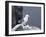 Kittiwake, Pembrokeshire, Wales, United Kingdom-Roy Rainford-Framed Photographic Print