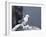 Kittiwake, Pembrokeshire, Wales, United Kingdom-Roy Rainford-Framed Photographic Print