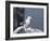 Kittiwake, Pembrokeshire, Wales, United Kingdom-Roy Rainford-Framed Photographic Print