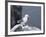 Kittiwake, Pembrokeshire, Wales, United Kingdom-Roy Rainford-Framed Photographic Print