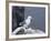 Kittiwake, Pembrokeshire, Wales, United Kingdom-Roy Rainford-Framed Photographic Print