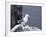 Kittiwake, Pembrokeshire, Wales, United Kingdom-Roy Rainford-Framed Photographic Print