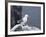 Kittiwake, Pembrokeshire, Wales, United Kingdom-Roy Rainford-Framed Photographic Print