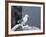 Kittiwake, Pembrokeshire, Wales, United Kingdom-Roy Rainford-Framed Photographic Print