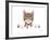 Kitty Footprints-Sartoris ART-Framed Giclee Print